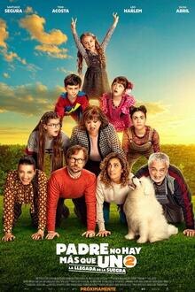 Padre no hay más que uno 2 El poster de la !película